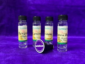 Essential Oil - Car Vent Clip